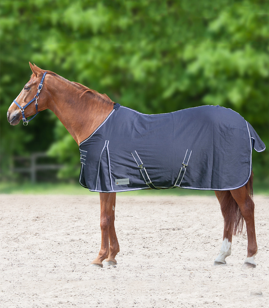 Waldhausen - Stable- and summer rug, night blue