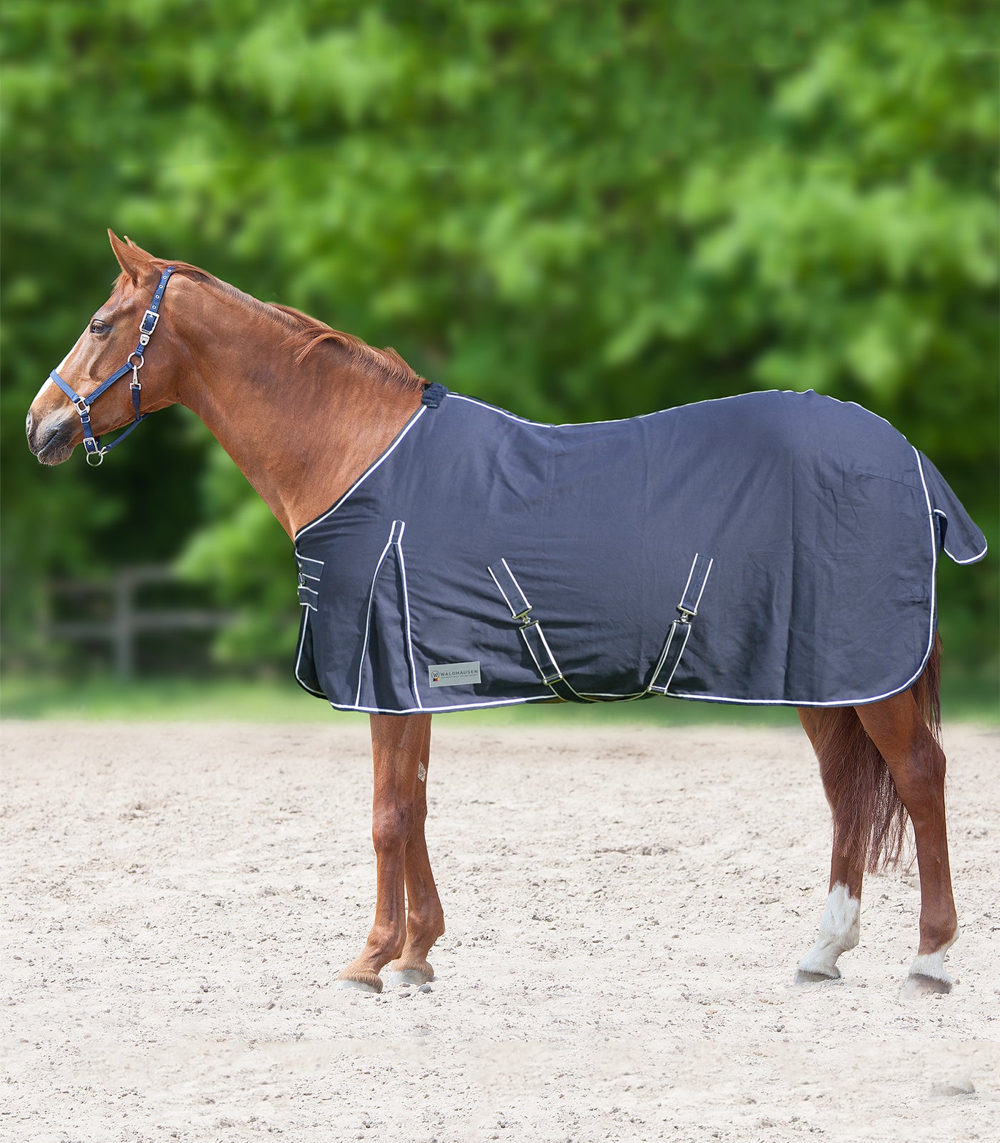 Waldhausen - Stable- and summer rug, night blue
