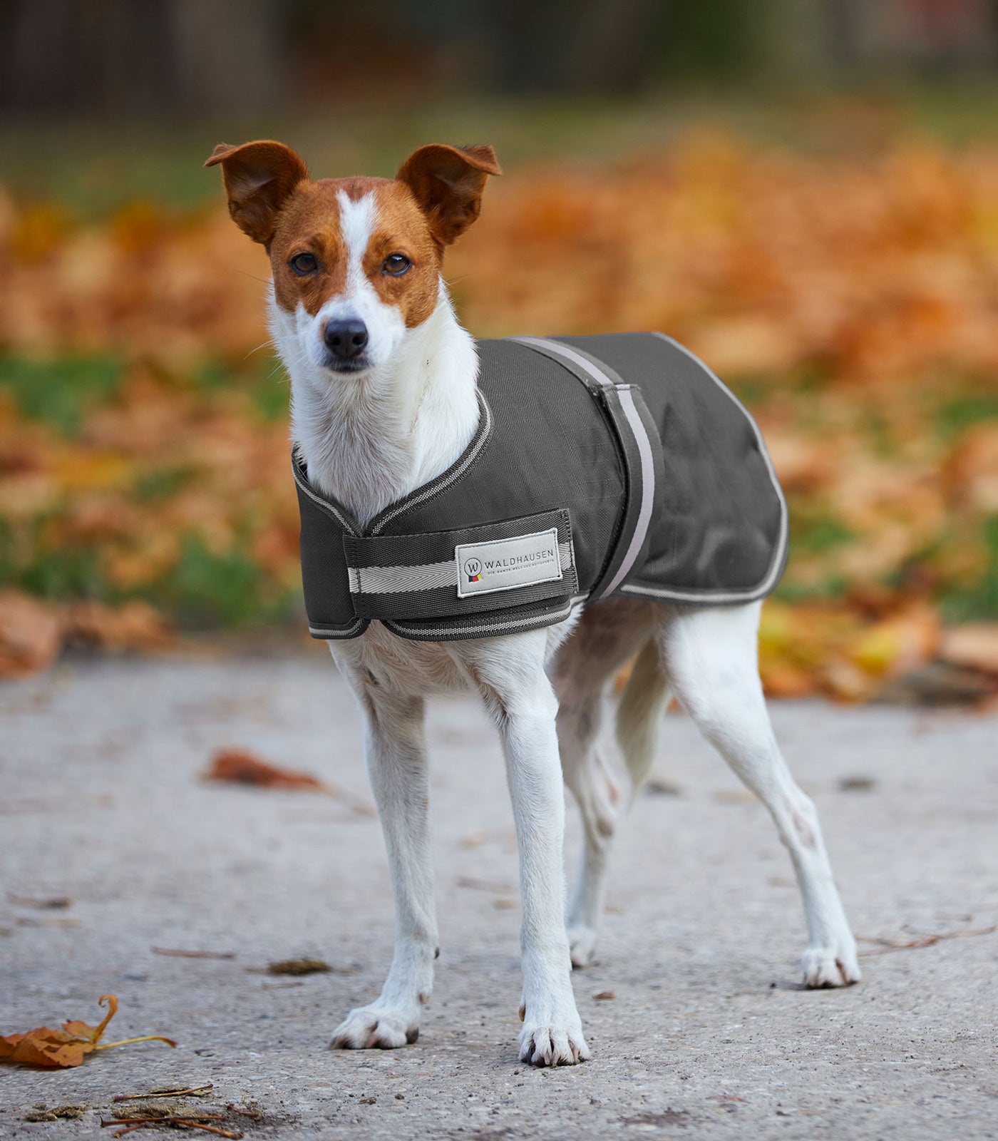 Waldhausen - Outdoor dog rug Comfort