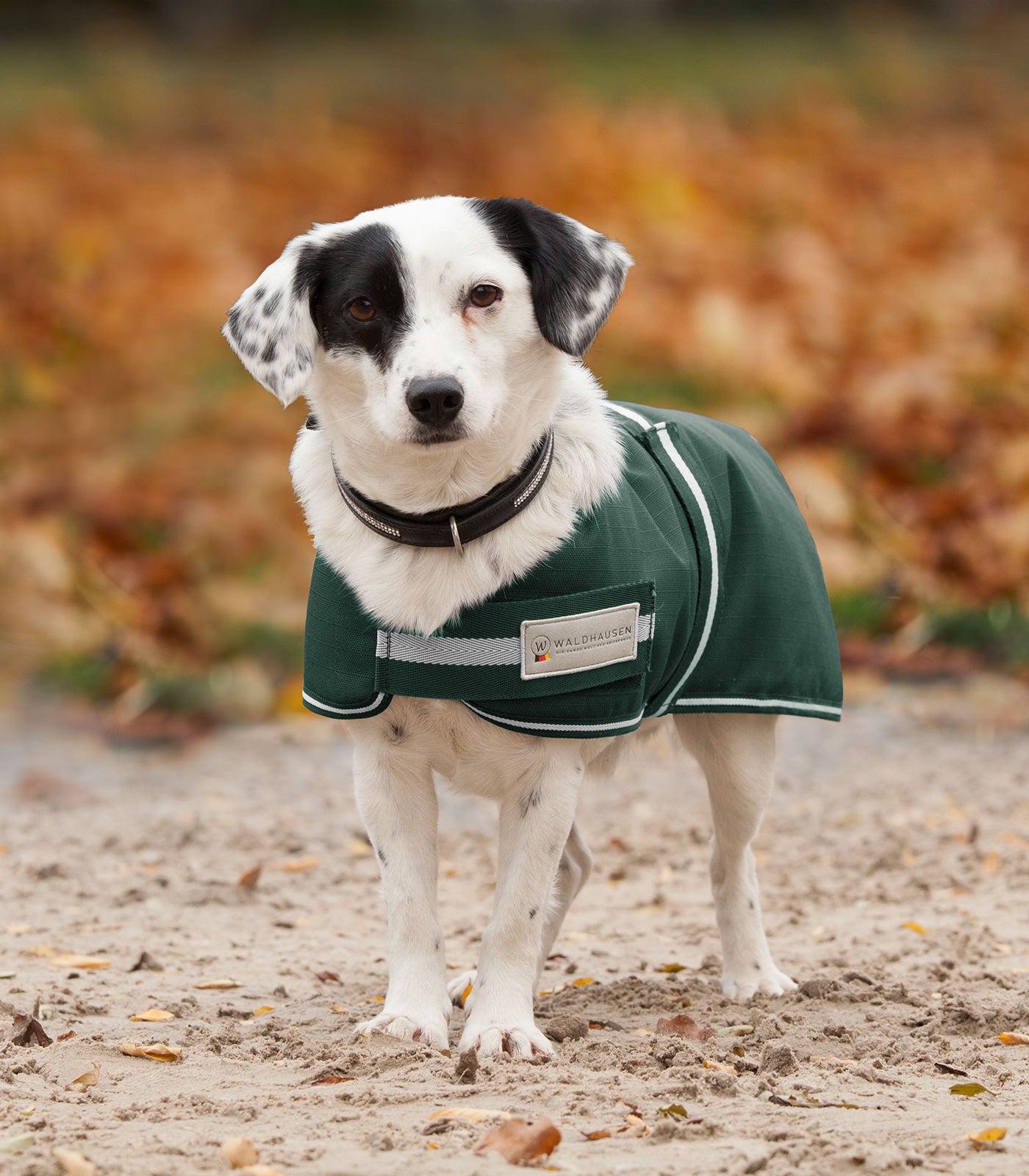 Waldhausen - Outdoor dog rug Comfort