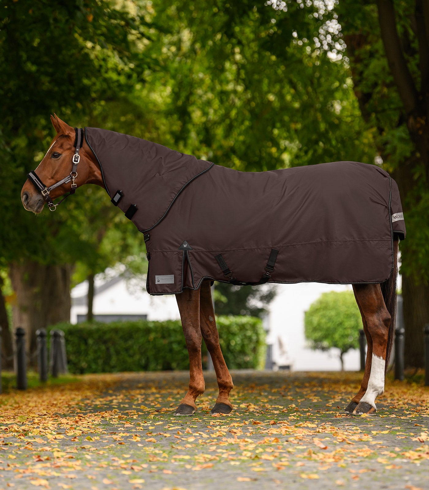 Waldhausen - Outdoor Neck Rug 600D, Light