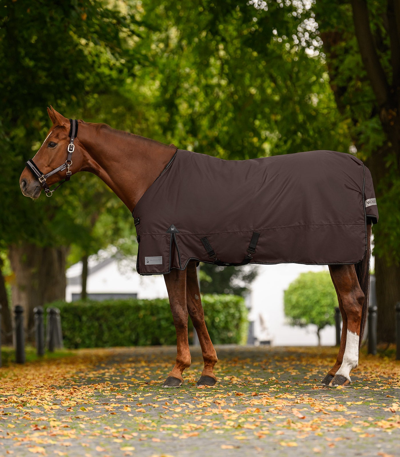 Waldhausen - Outdoor Rug Arctic