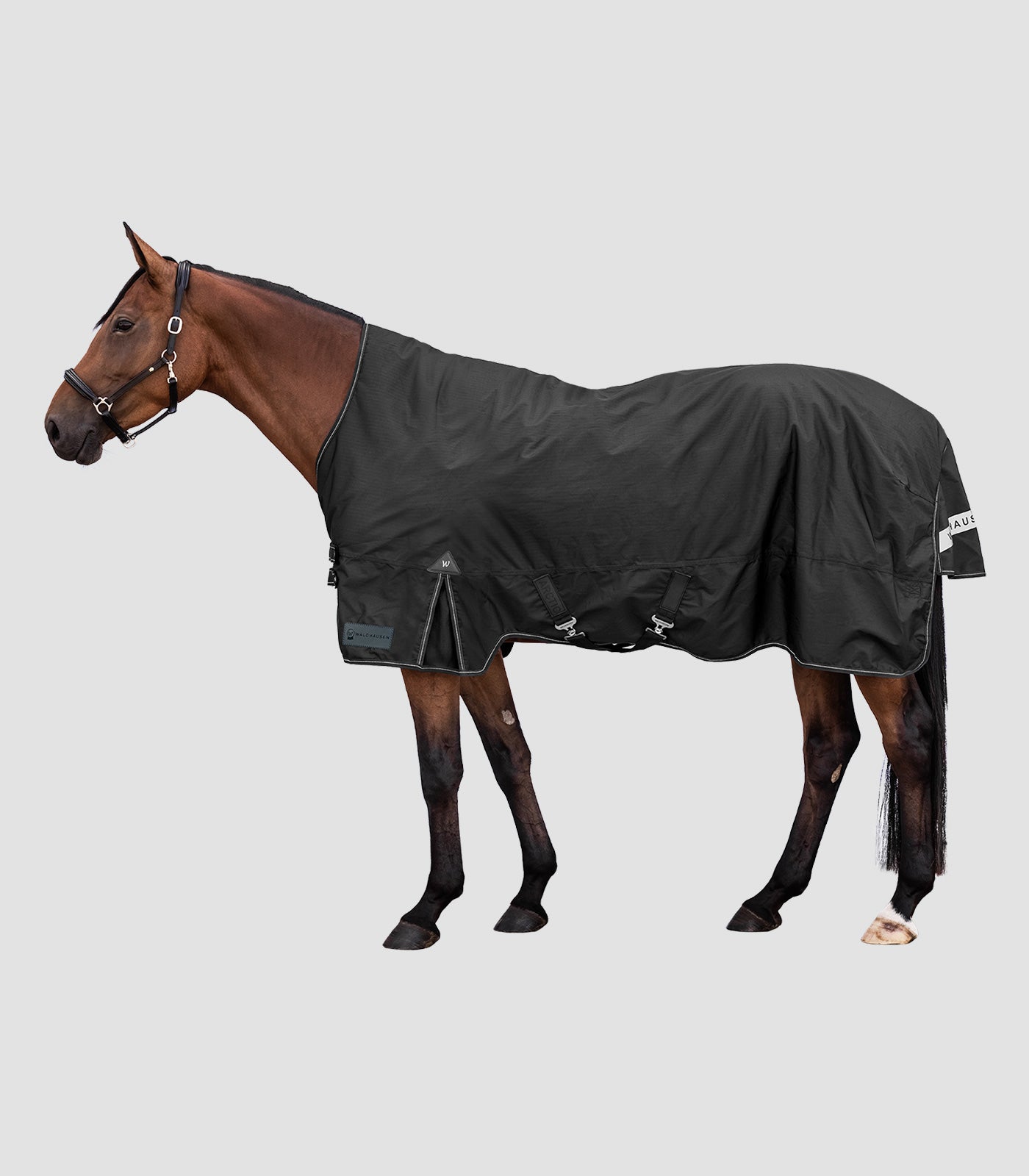 Waldhausen - Outdoor Rug Arctic, High