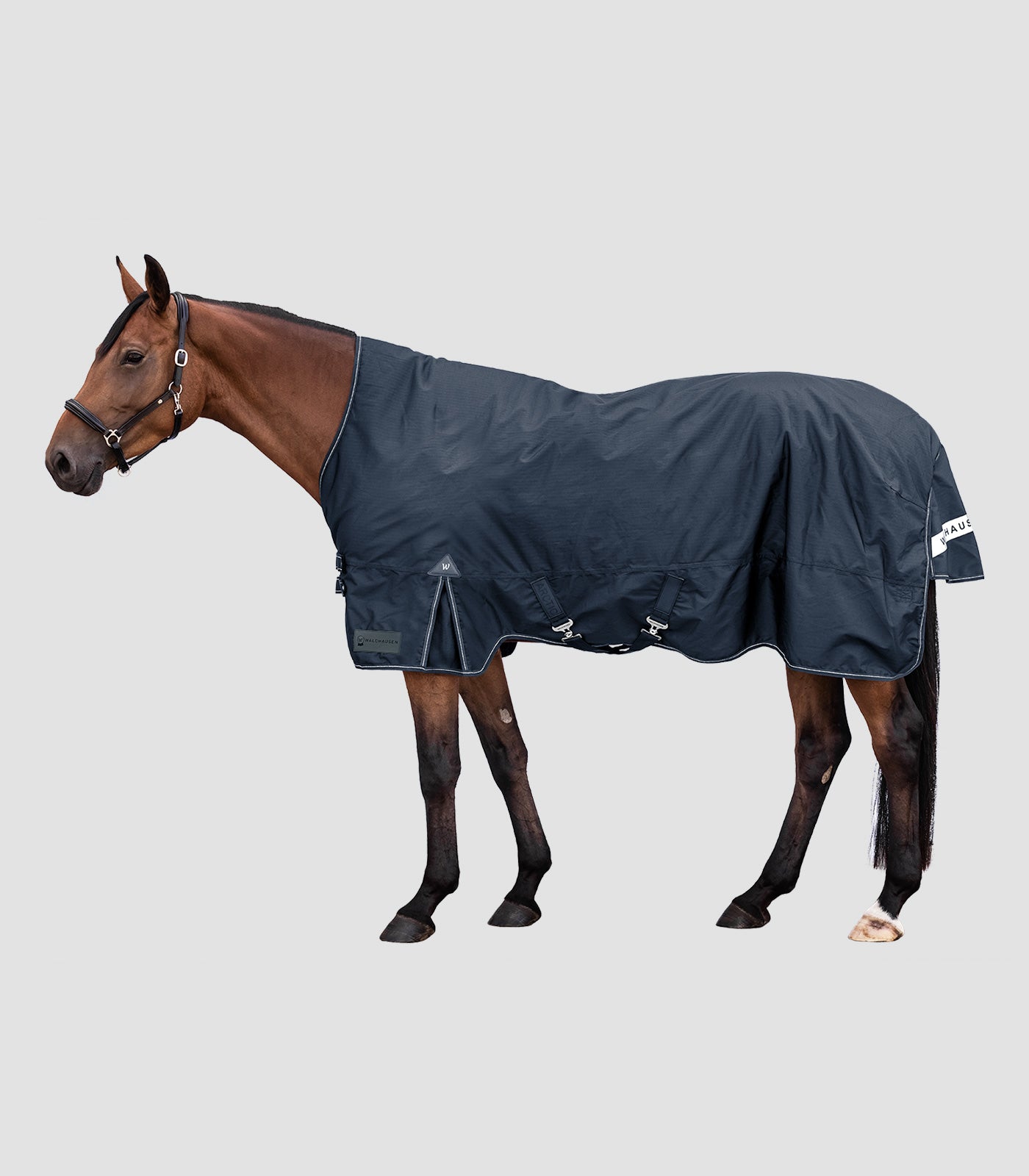 Waldhausen - Outdoor Rug Arctic, High