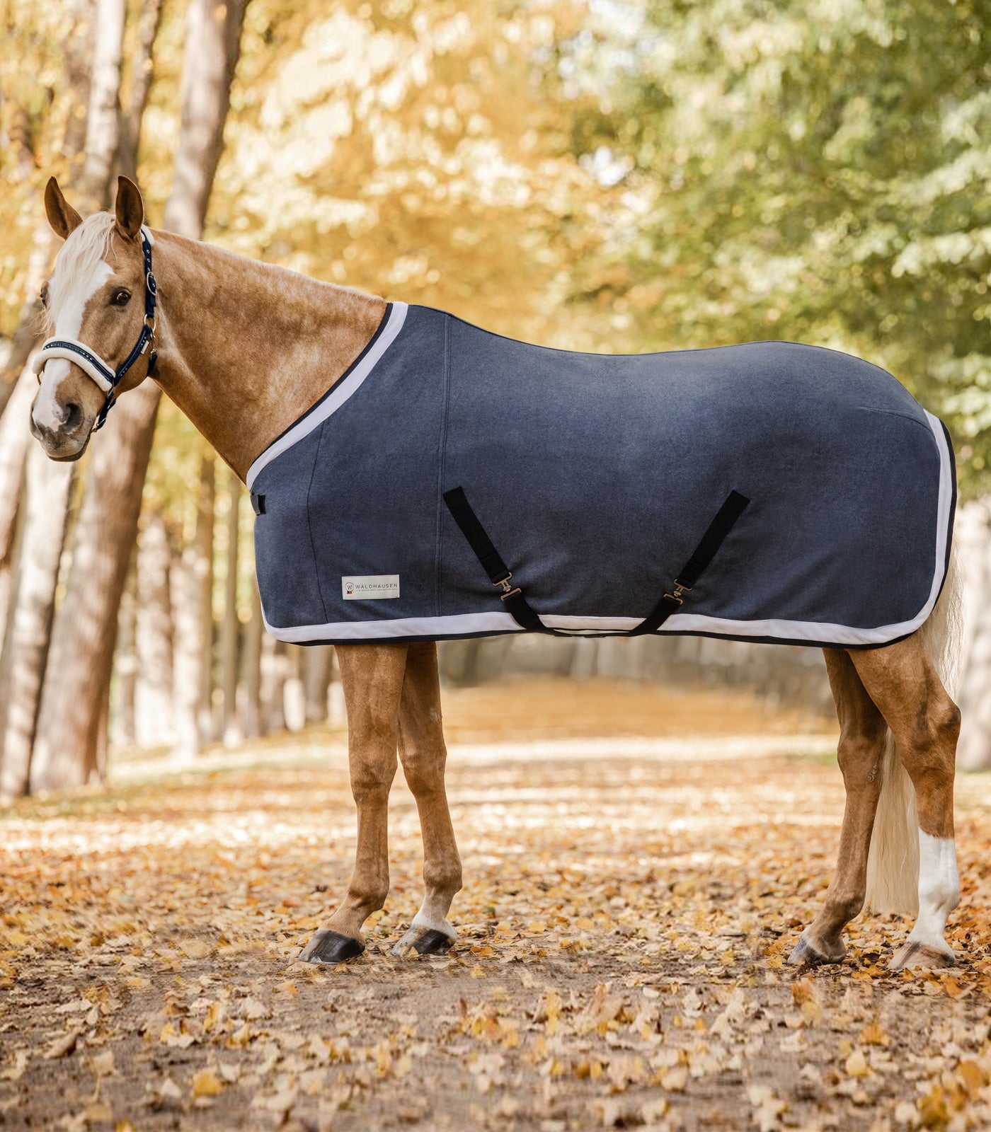 Waldhausen - Fleece Rug Esperia Two