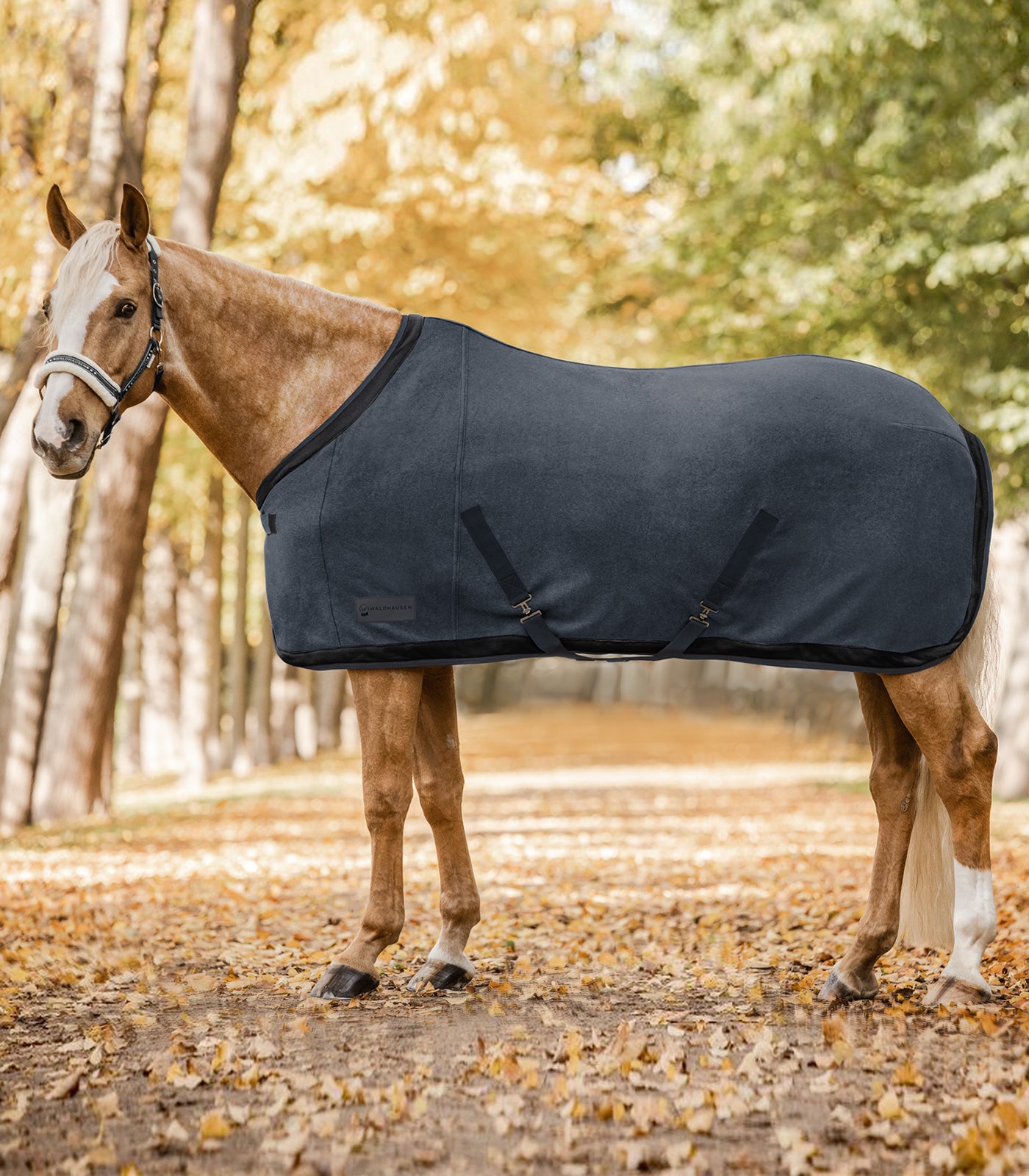 Waldhausen - Fleece Rug Esperia Two