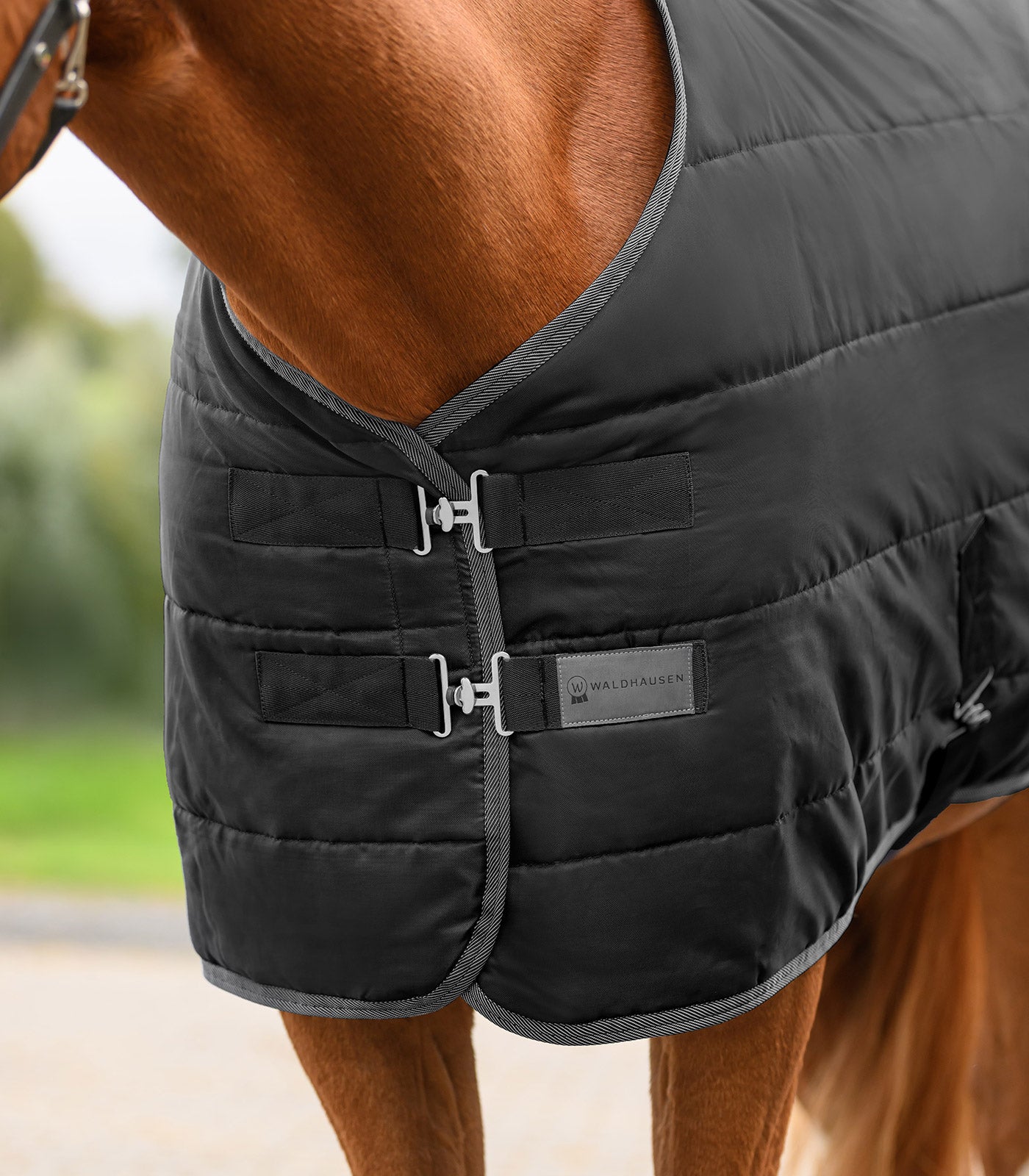 Waldhausen - ECONOMIC Stable Rug 100 g