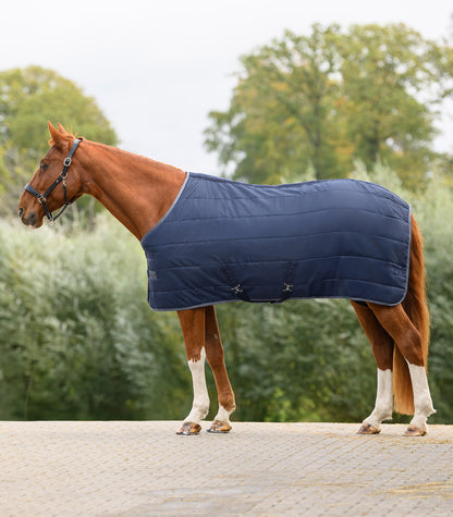 Waldhausen - ECONOMIC Stable Rug 100 g