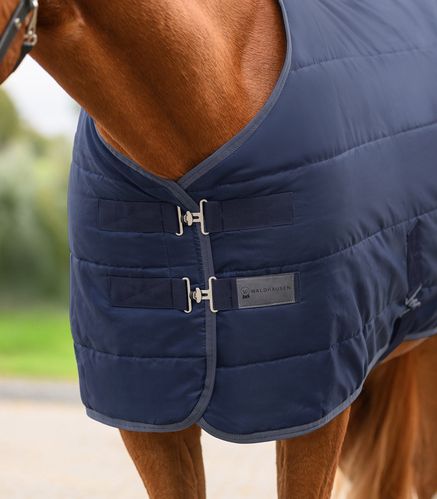 Waldhausen - ECONOMIC Stable Rug 100 g