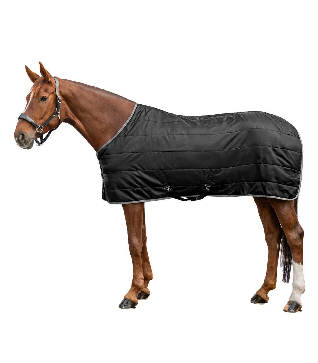 Waldhausen - ECONOMIC Stable Rug