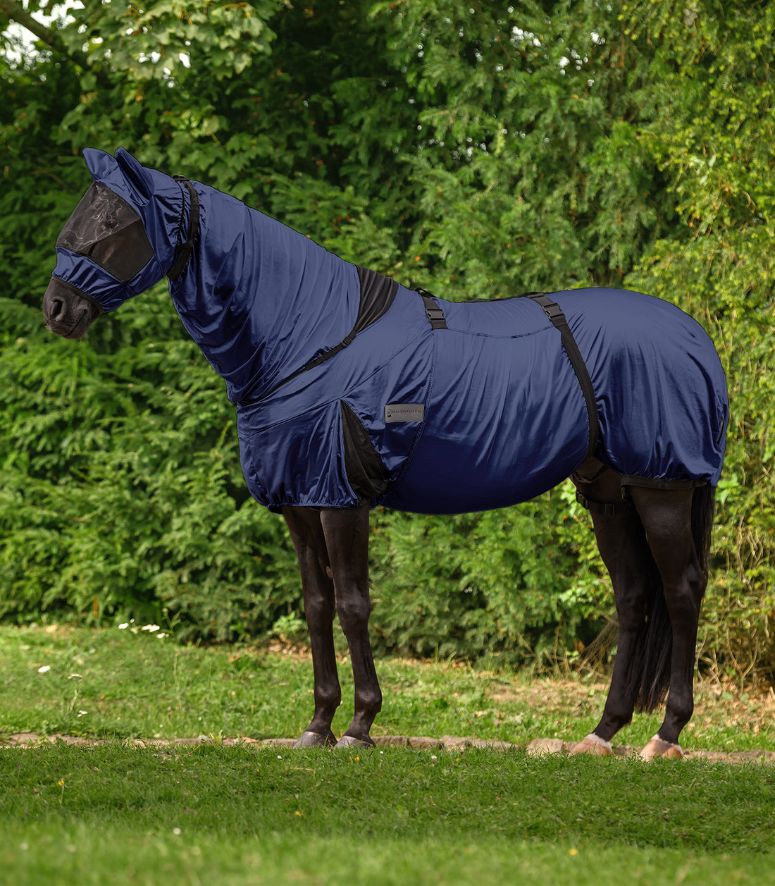 Waldhausen - Eczemer rug Premium