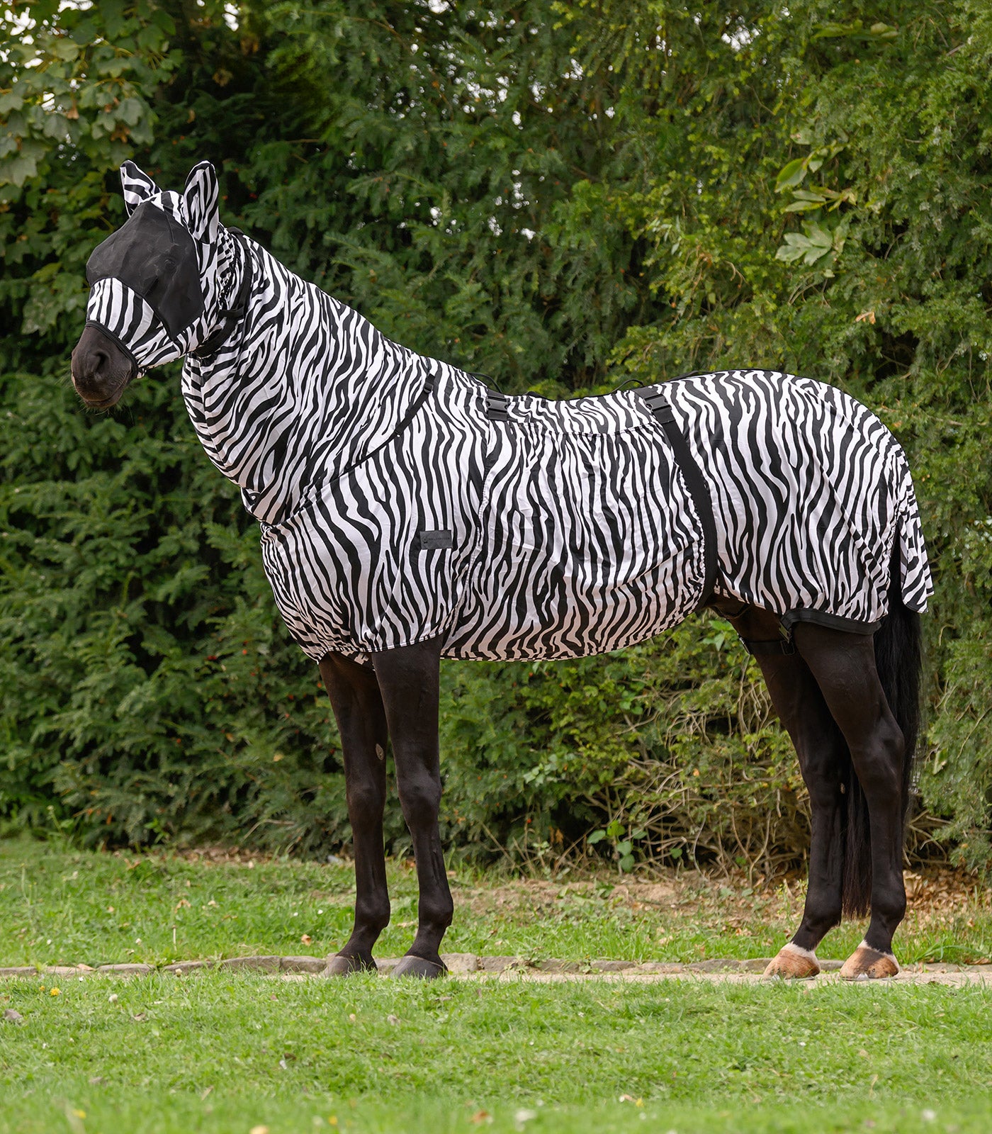 Waldhausen - Eczemer rug Zebra, 115 cm