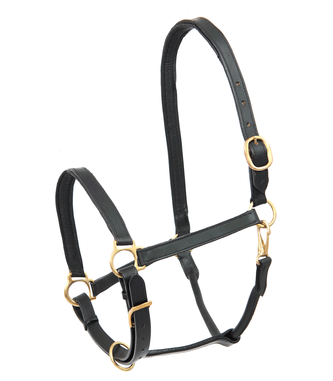 STAR - Leather Halter, black