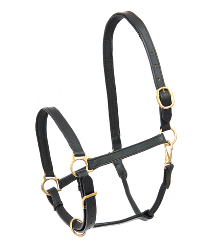 STAR - Leather Halter, black