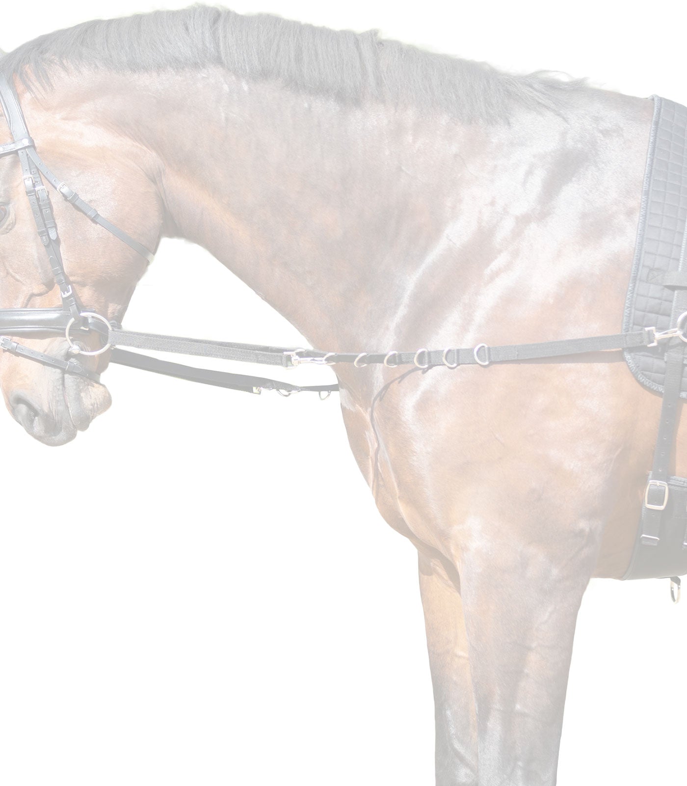 STAR - Side reins Nylon, black, full