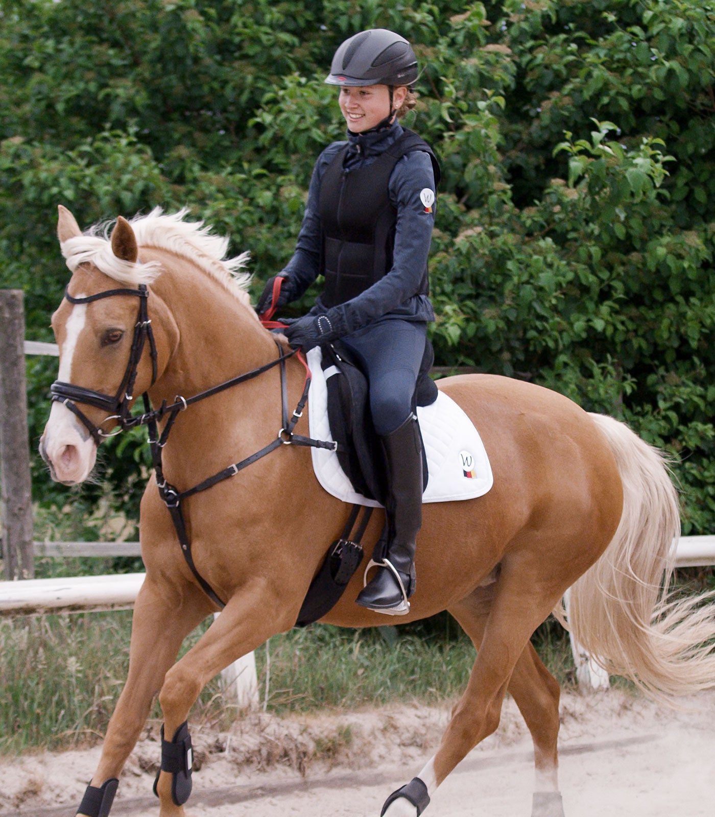Waldhausen - breastplate with safety rein