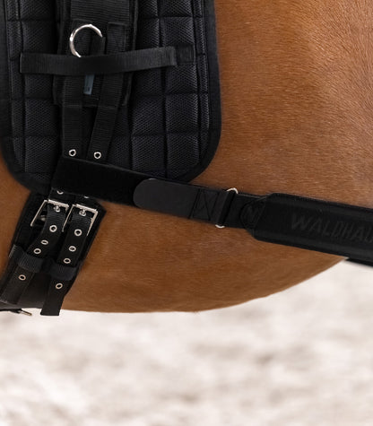 Waldhausen - Body bandage - activation of the hindquarters, black, Cob/Full