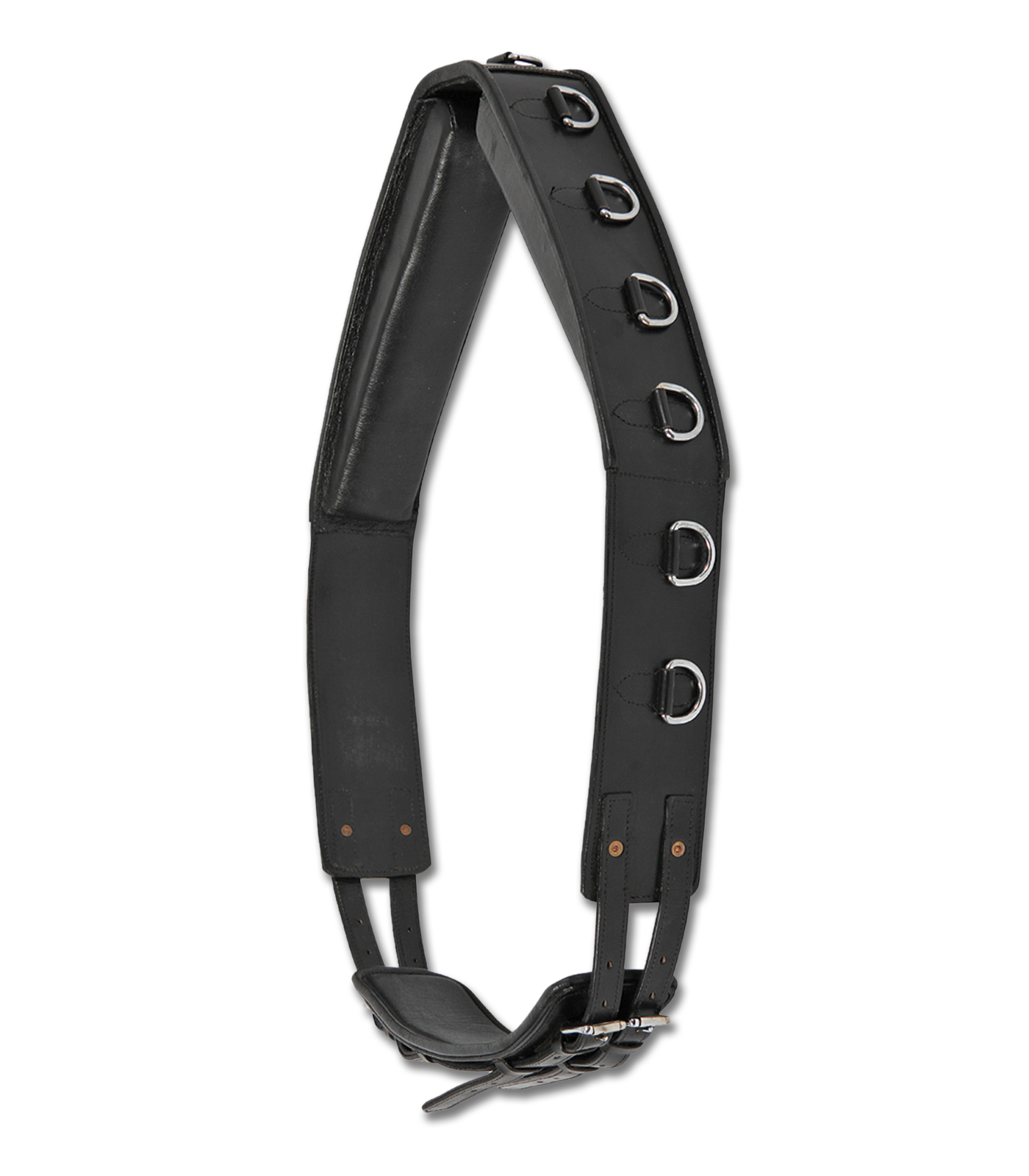 Waldhausen - Lunging surcingle leather, black, Full