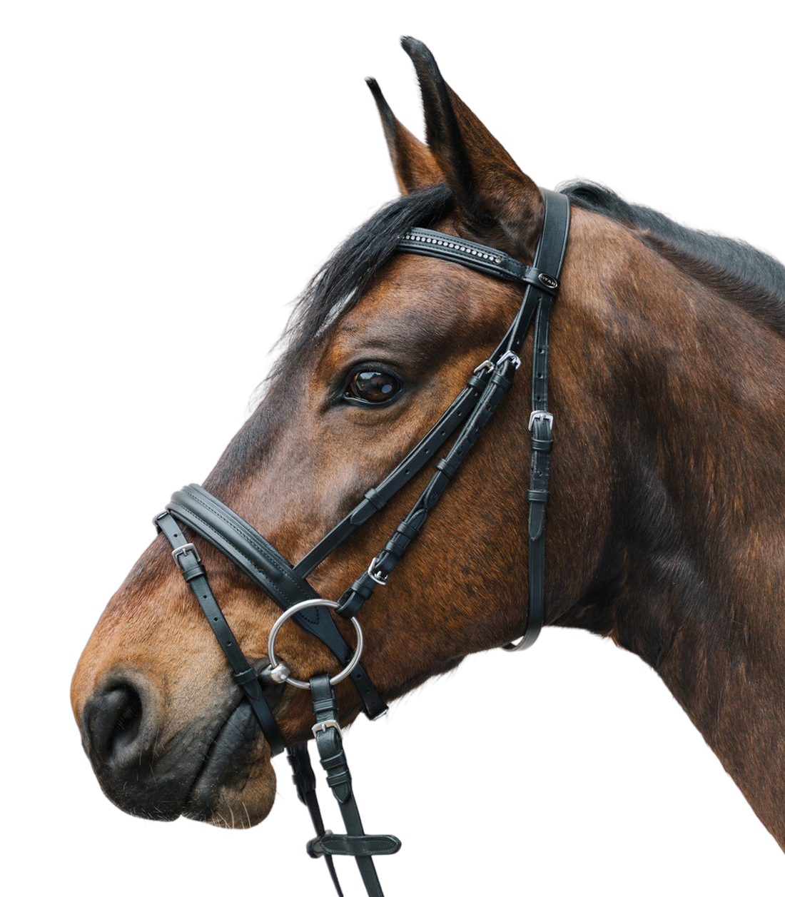STAR - Bridle Diamant comb. noseband
