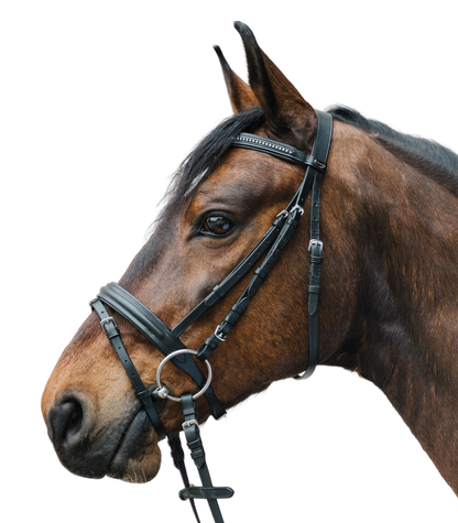 STAR - Bridle Diamant comb. noseband