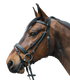 STAR - Bridle Diamant comb. noseband