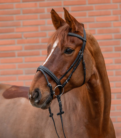 STAR - Bridle Diamant comb. noseband