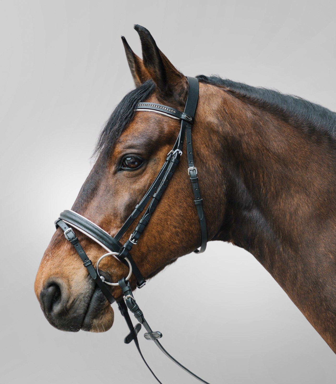 STAR - Bridle Diamant comb. noseband