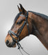 STAR - Bridle Diamant comb. noseband