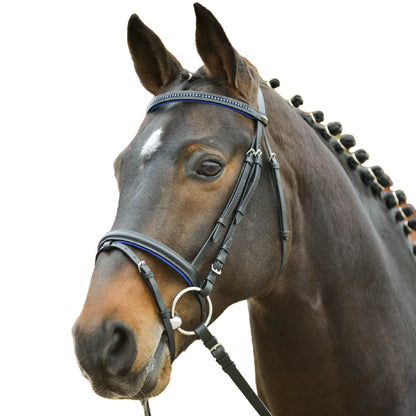 STAR - Bridle Diamant comb. noseband