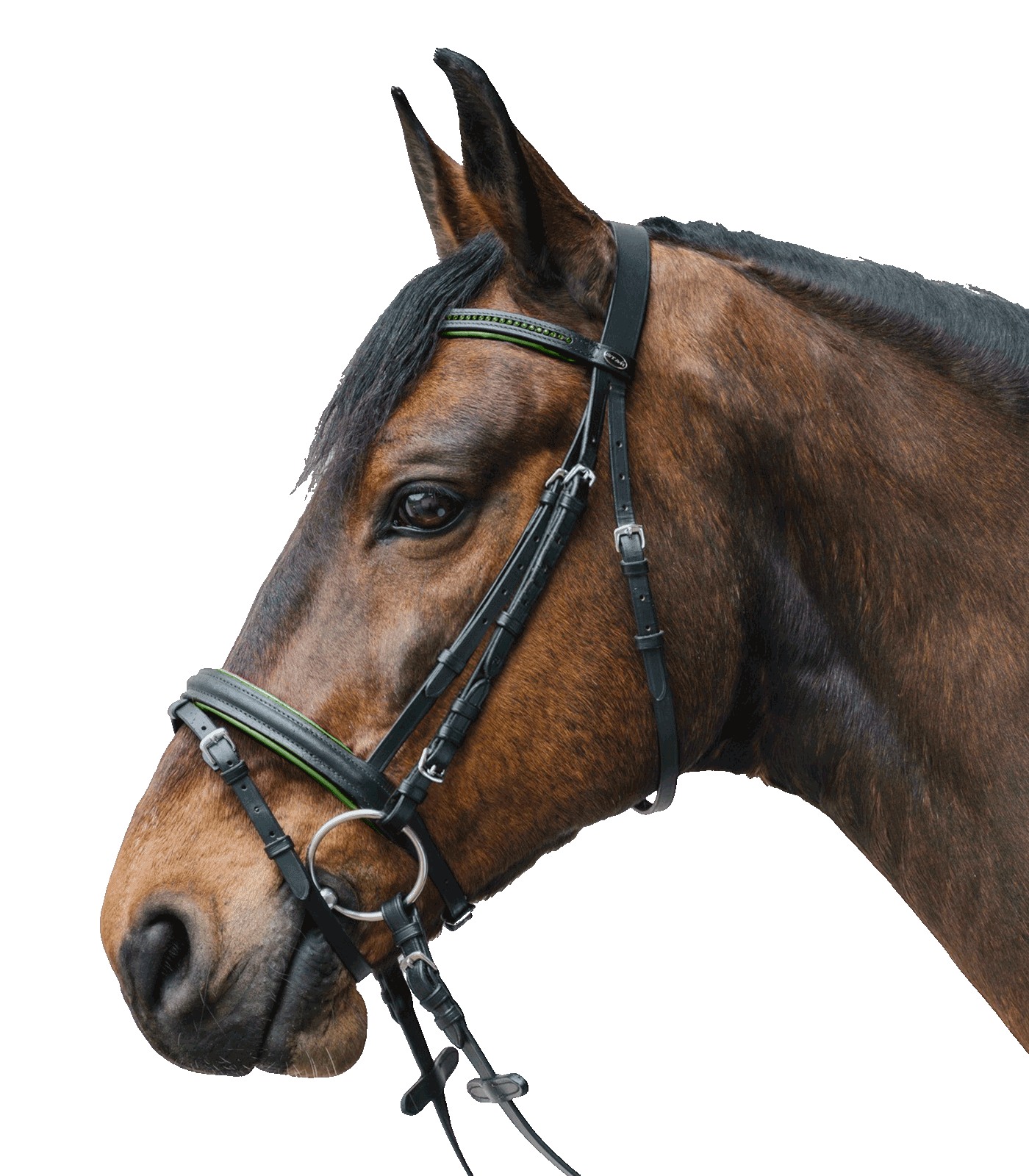 STAR - Bridle Diamant comb. noseband