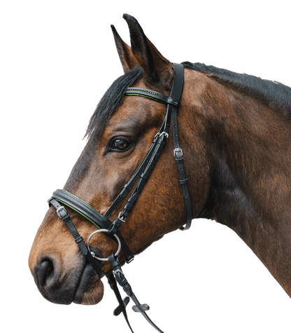STAR - Bridle Diamant comb. noseband