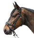 STAR - Bridle Diamant comb. noseband