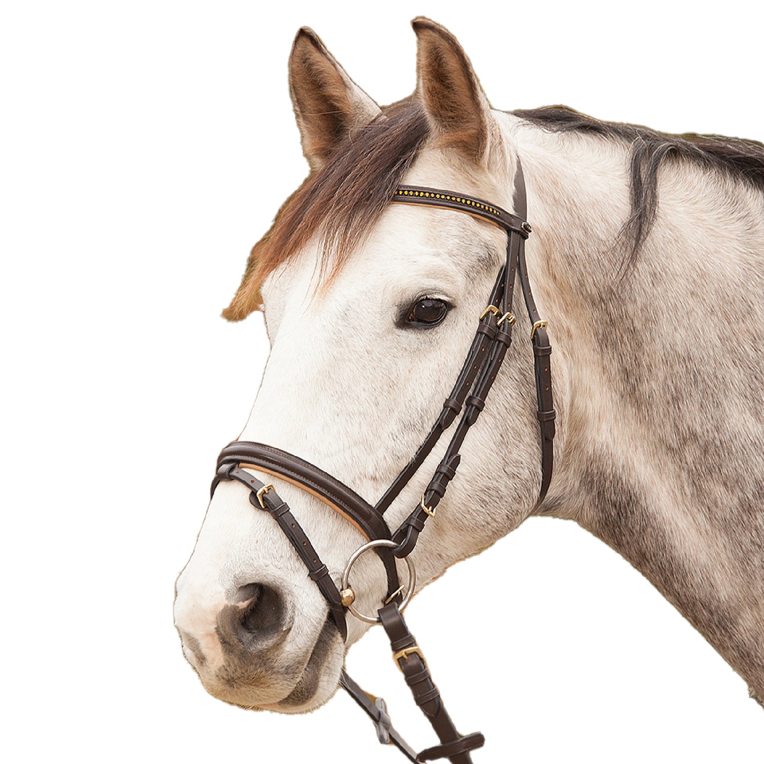 STAR - Bridle Diamant comb. noseband