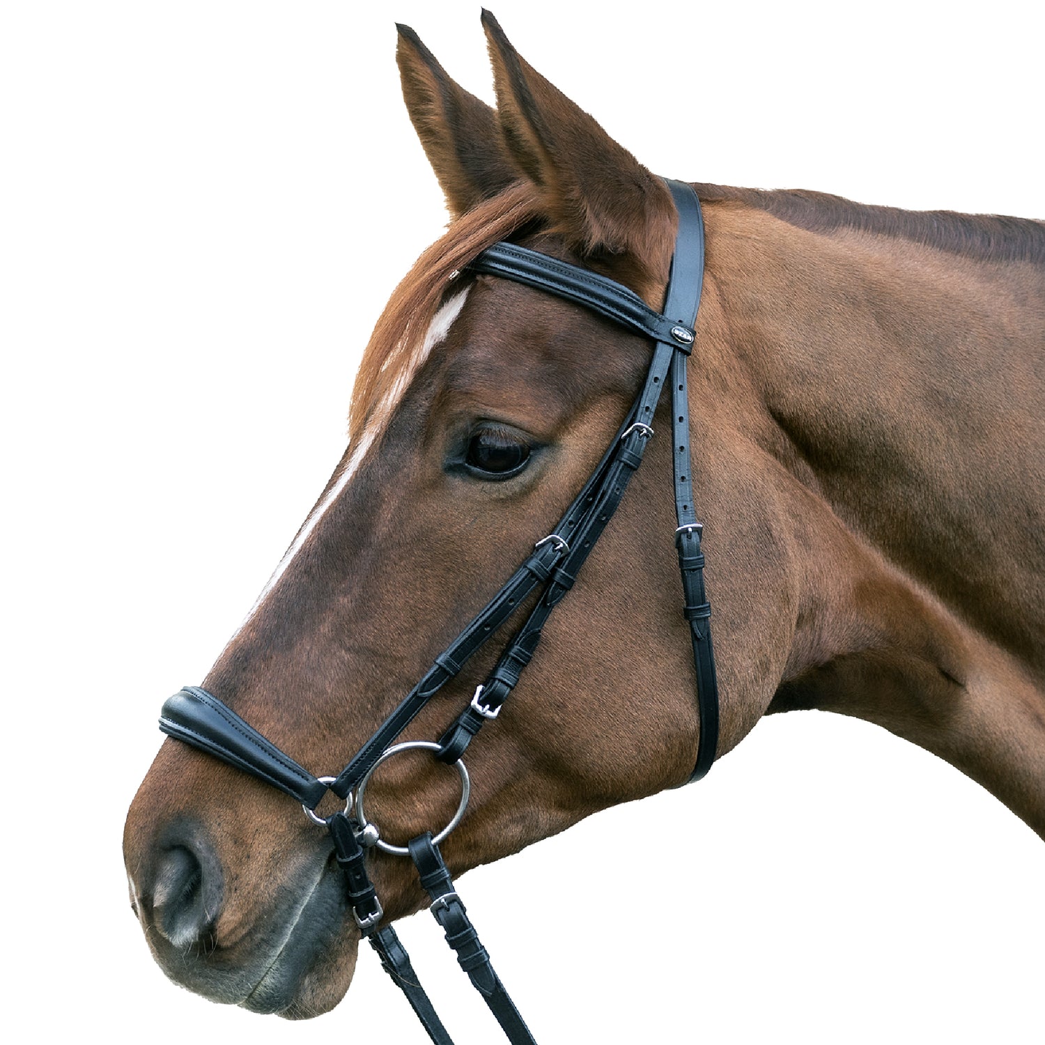 STAR - Bridle Hannover drop noseband, black