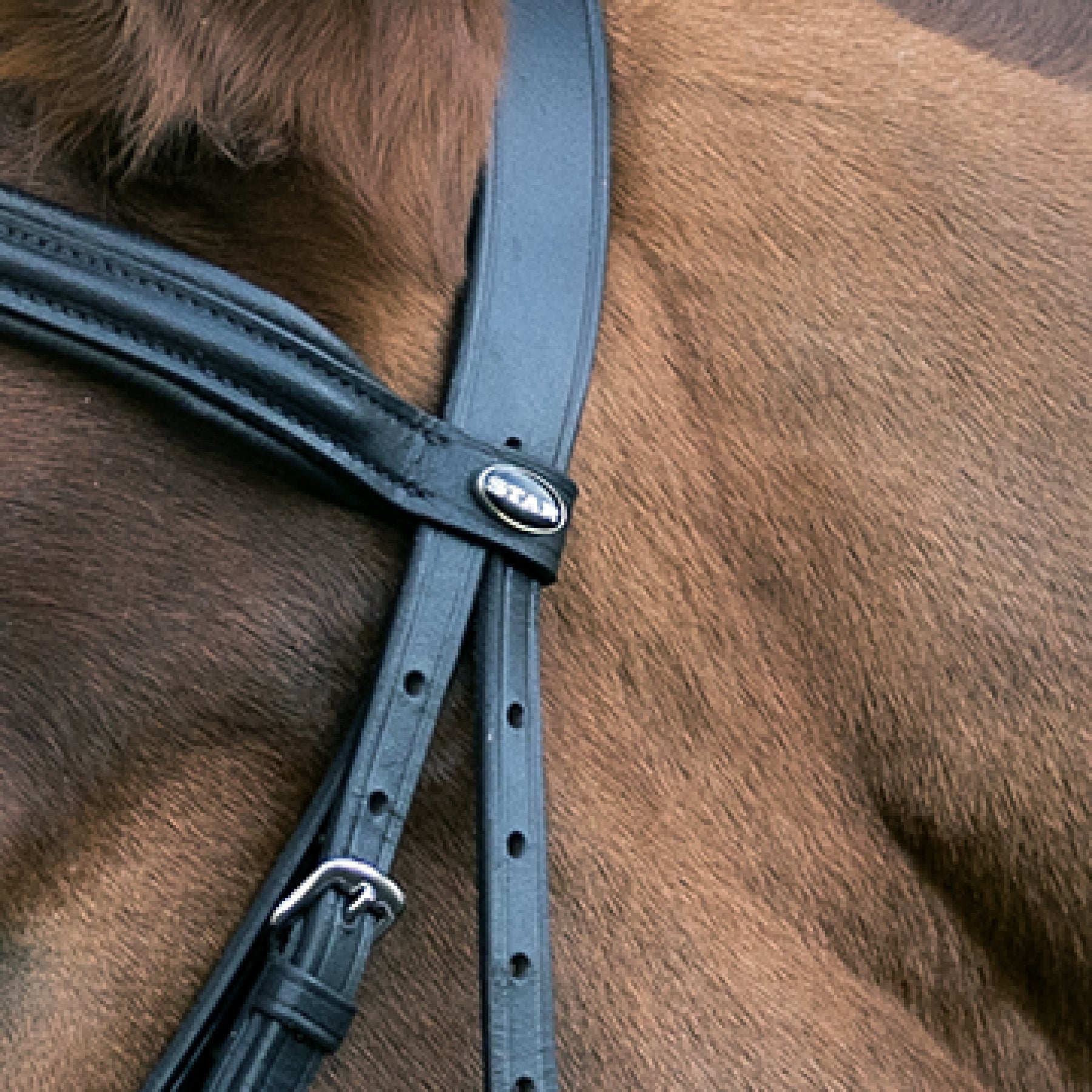 STAR - Bridle Hannover drop noseband, black