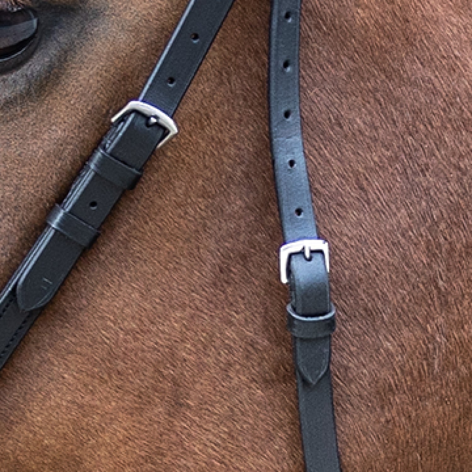 STAR - STAR bitless bridle, black