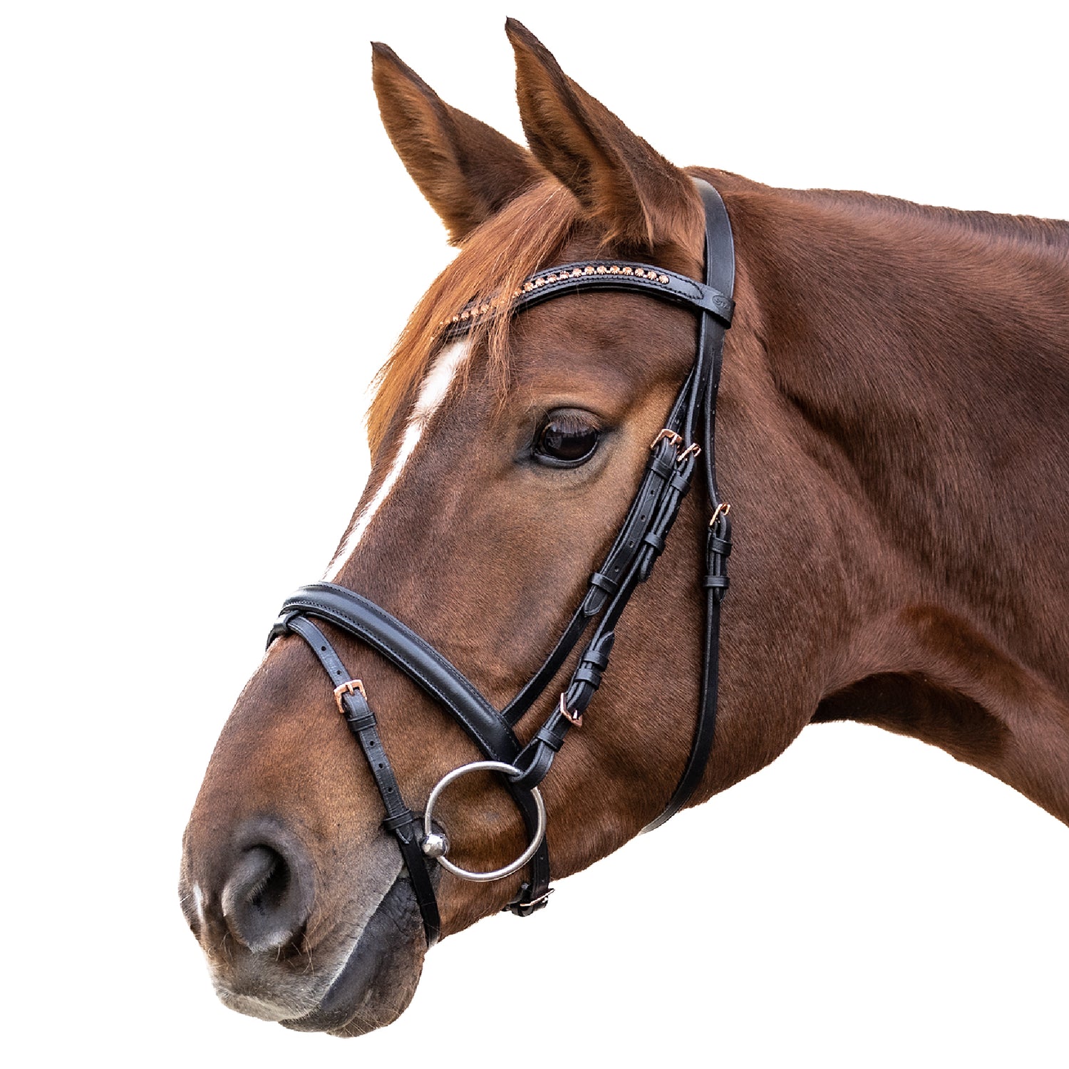 STAR - STAR bridle Rosemary, engl.combined