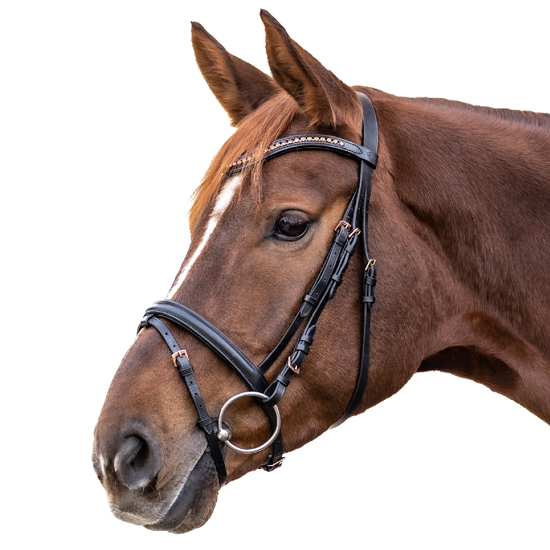 STAR - STAR bridle Rosemary, engl.combined