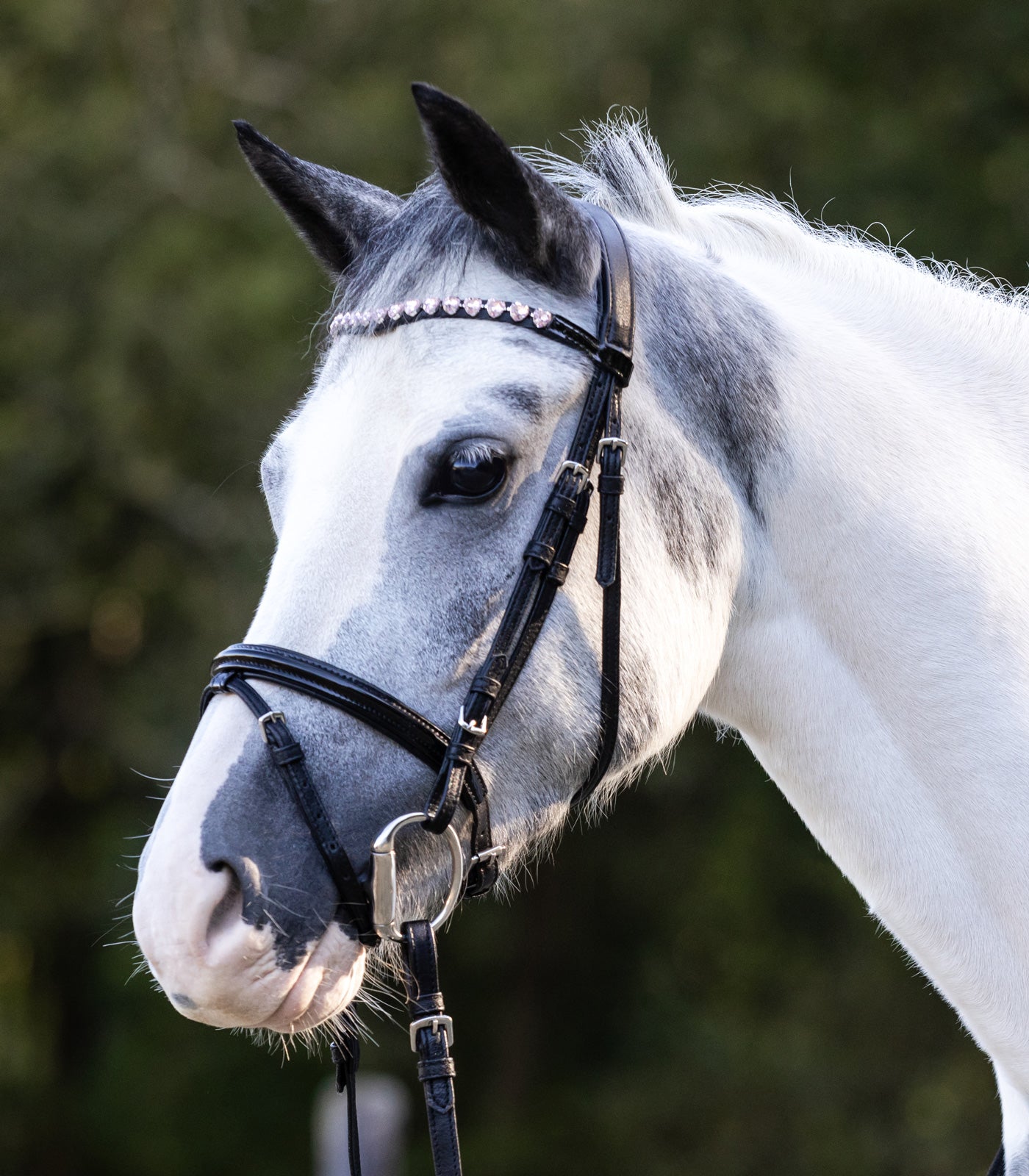 Waldhausen - Bridle Happy Hearts, black