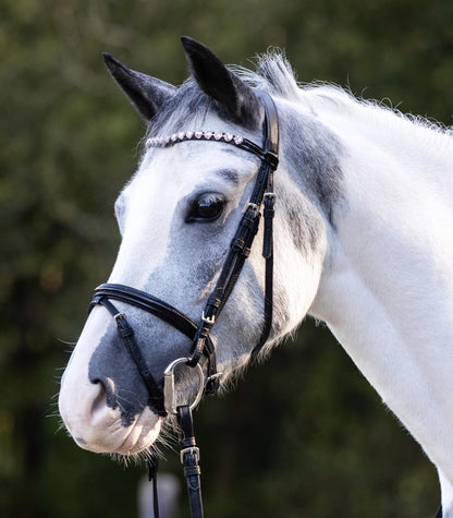 Waldhausen - Bridle Happy Hearts, black