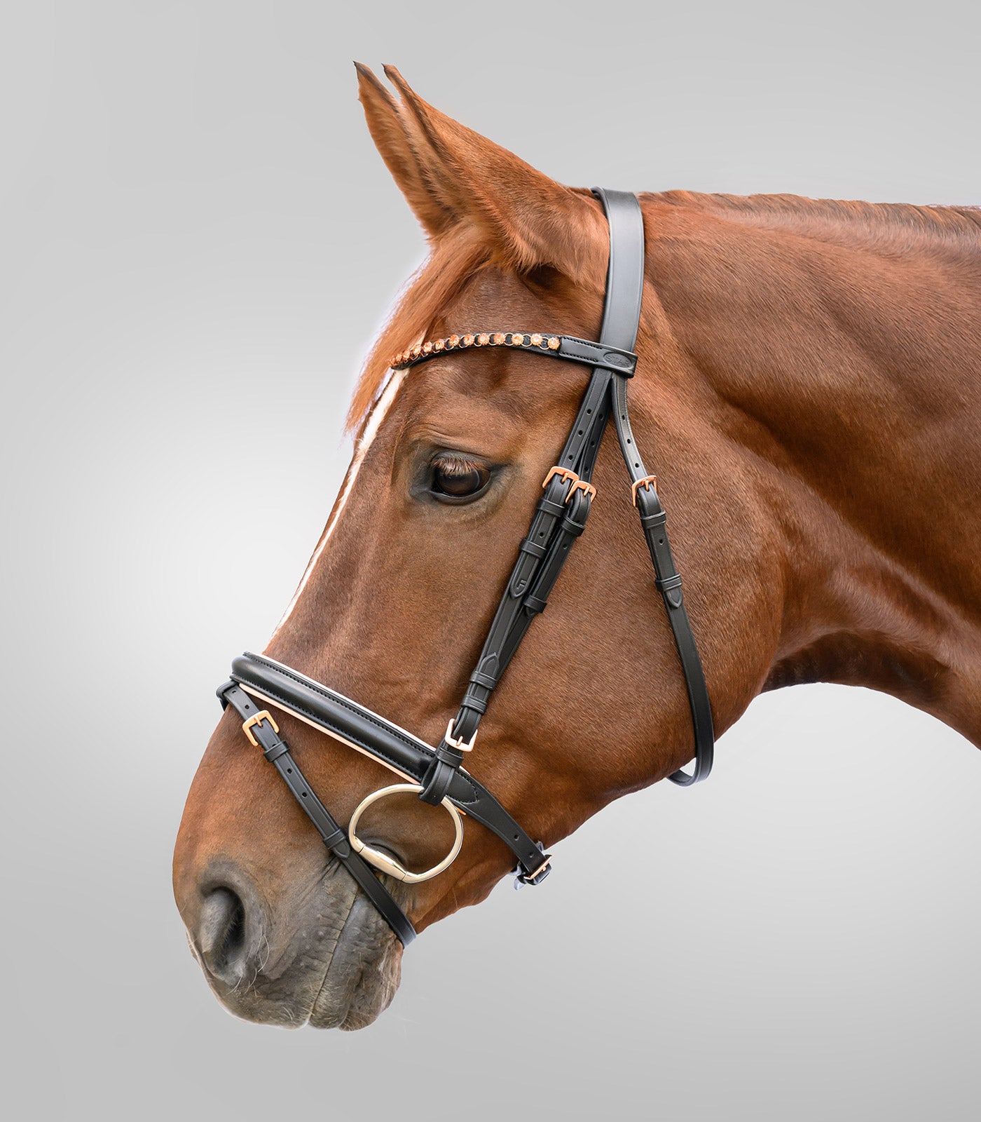 STAR - STAR bridle Rosegold, engl.combined