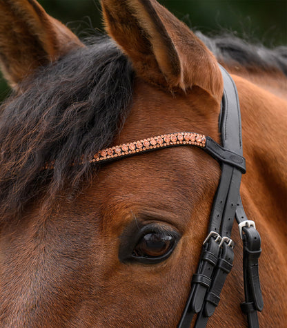 STAR - STAR browband Glitter