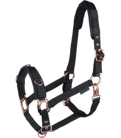 Waldhausen - Cavesson Rosé, black