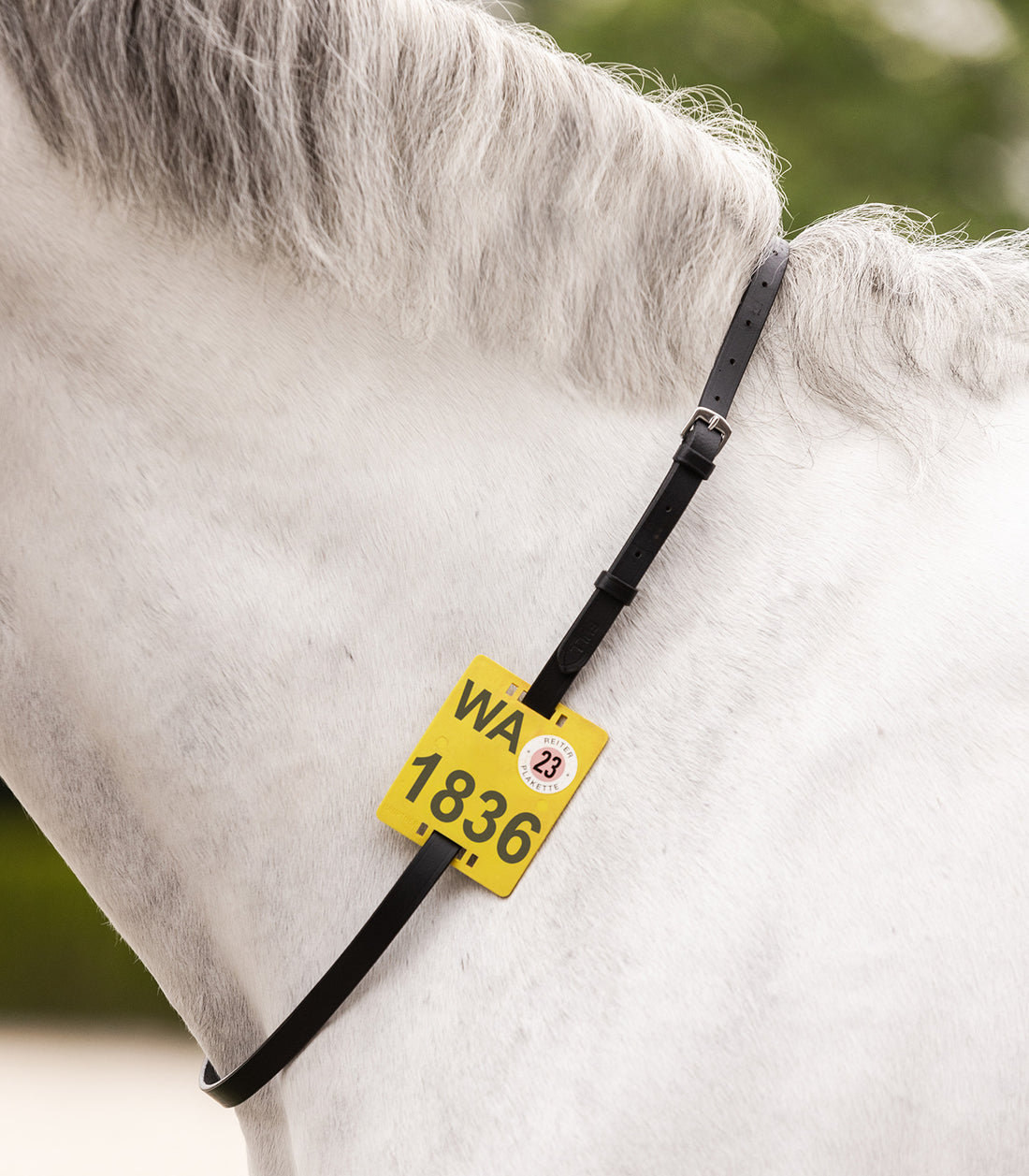 Waldhausen - Riding Strap for riding badge, black