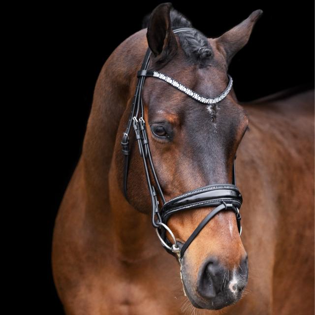 Imperial Ridning, Hovedtøj, Olympia- Black
