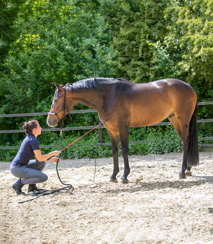 Waldhausen - Horsemanship stick