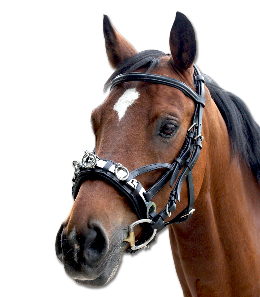 Waldhausen - Cavesson, Leather