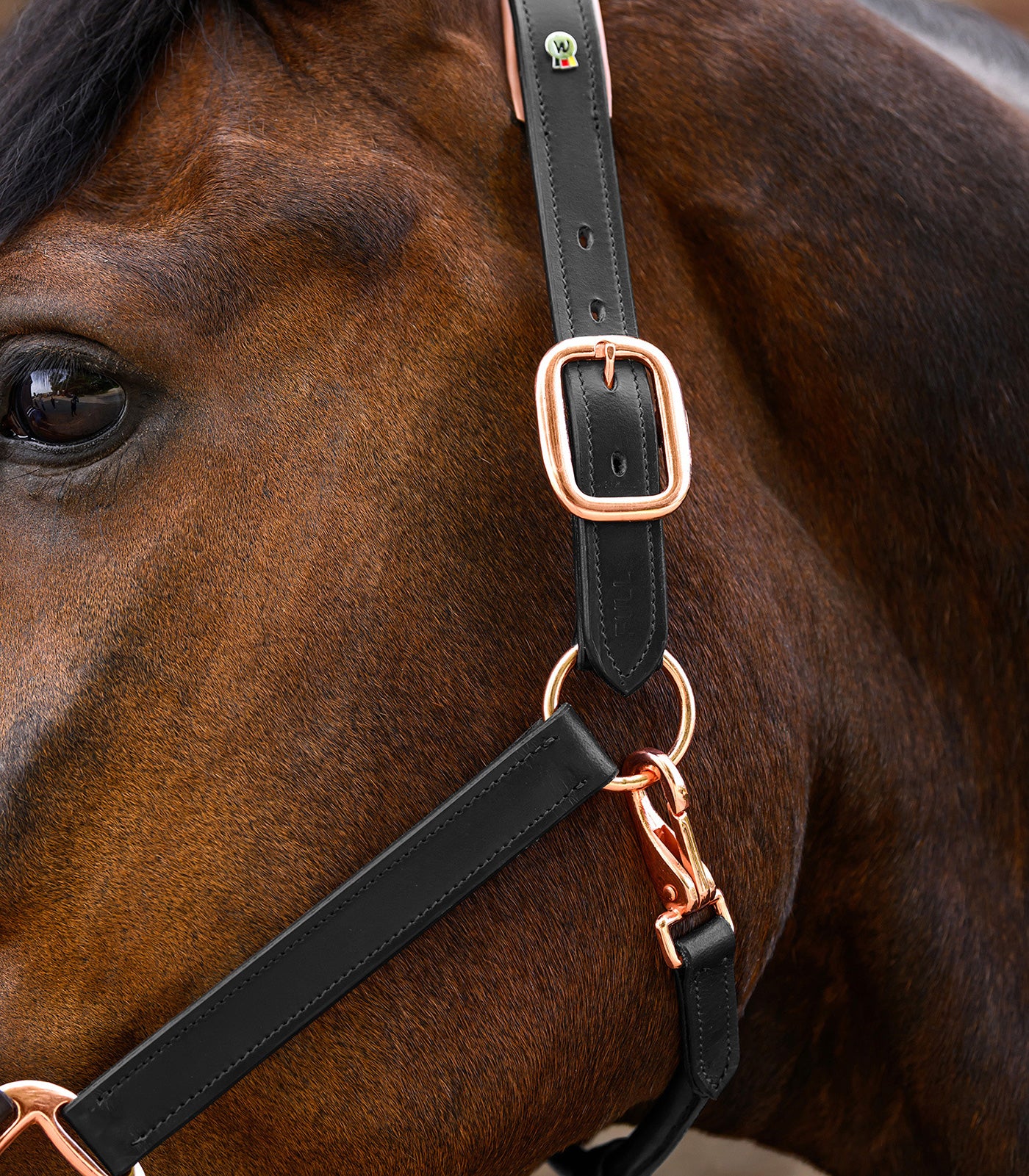 Waldhausen - Leatherhalter Rosé, X-Line