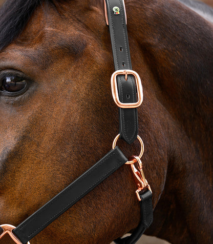 Waldhausen - Leatherhalter Rosé, X-Line