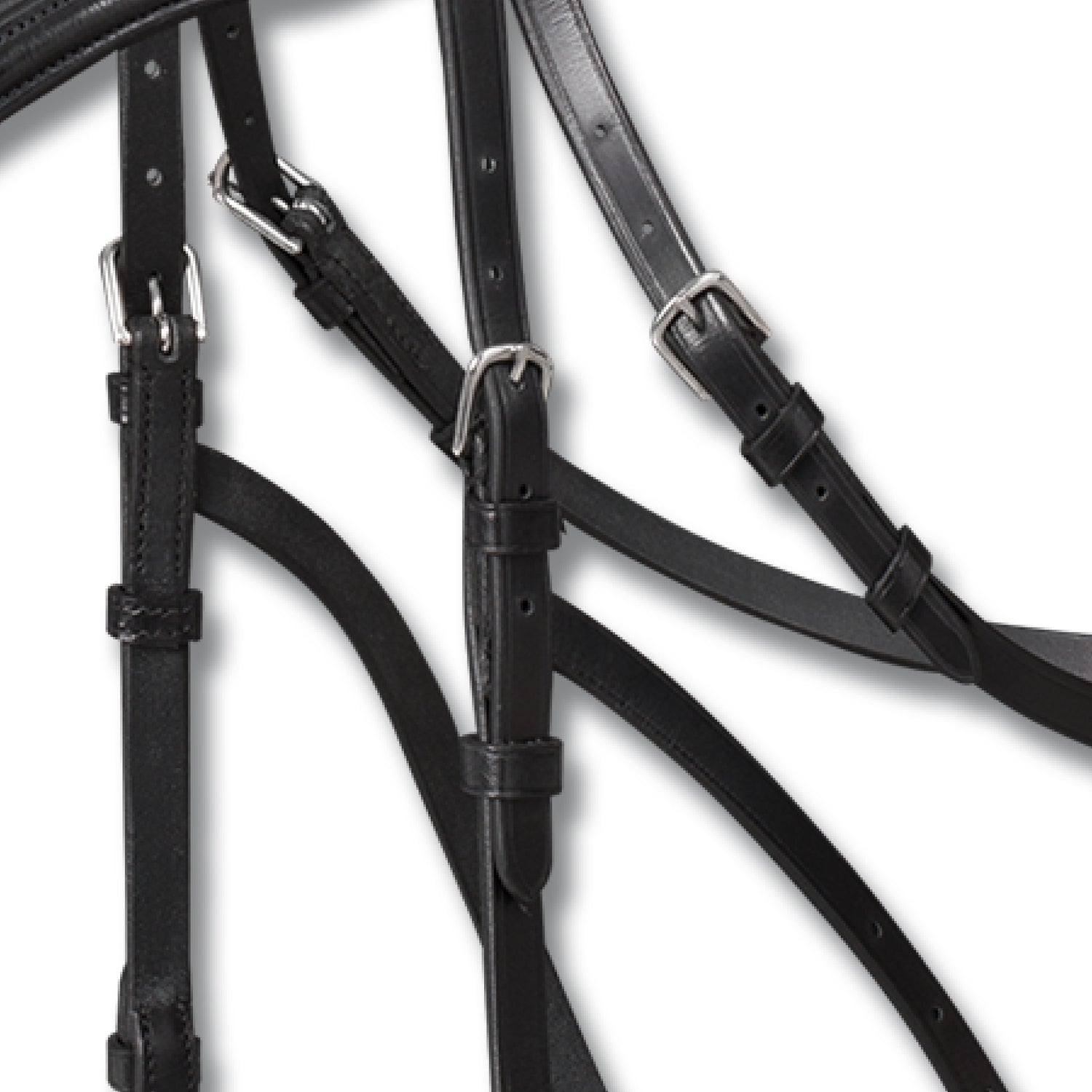 Waldhausen - Hackamore bridle X-Line